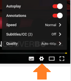 How to view the youtube video subtitles